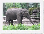 Dierentuin Burgers  Zoo 035 * 3648 x 2736 * (6.09MB)